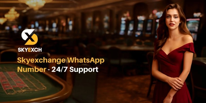 Sky Exchange WhatsApp Number – 24/7 Instant Support
